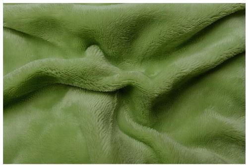 Prestieradlo Svitap Prestieradlo mikroflanel kivi (zelená) 180x200x20 cm